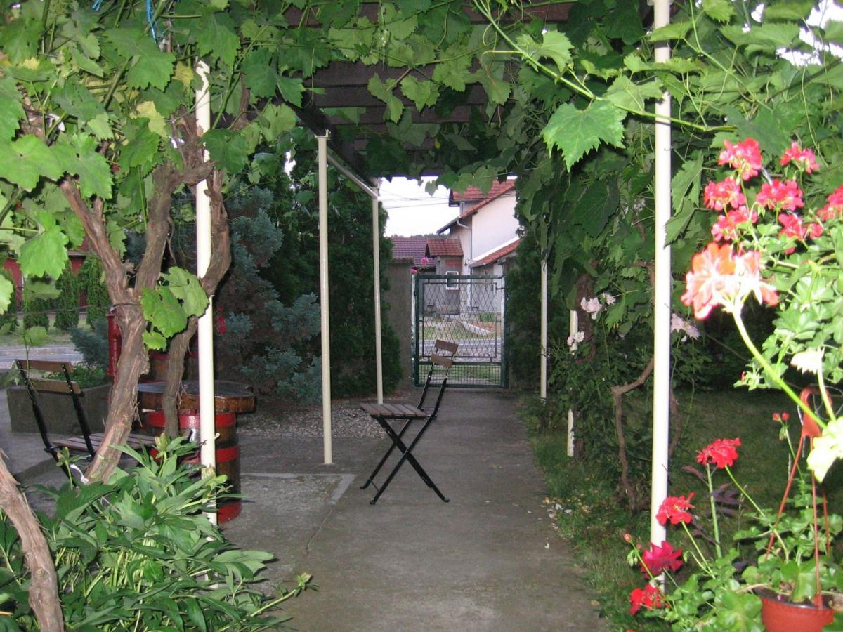 Kuca Za Odmor Jelena Apartment Kladovo Exterior photo