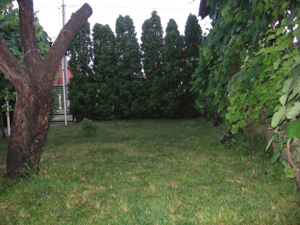 Kuca Za Odmor Jelena Apartment Kladovo Exterior photo