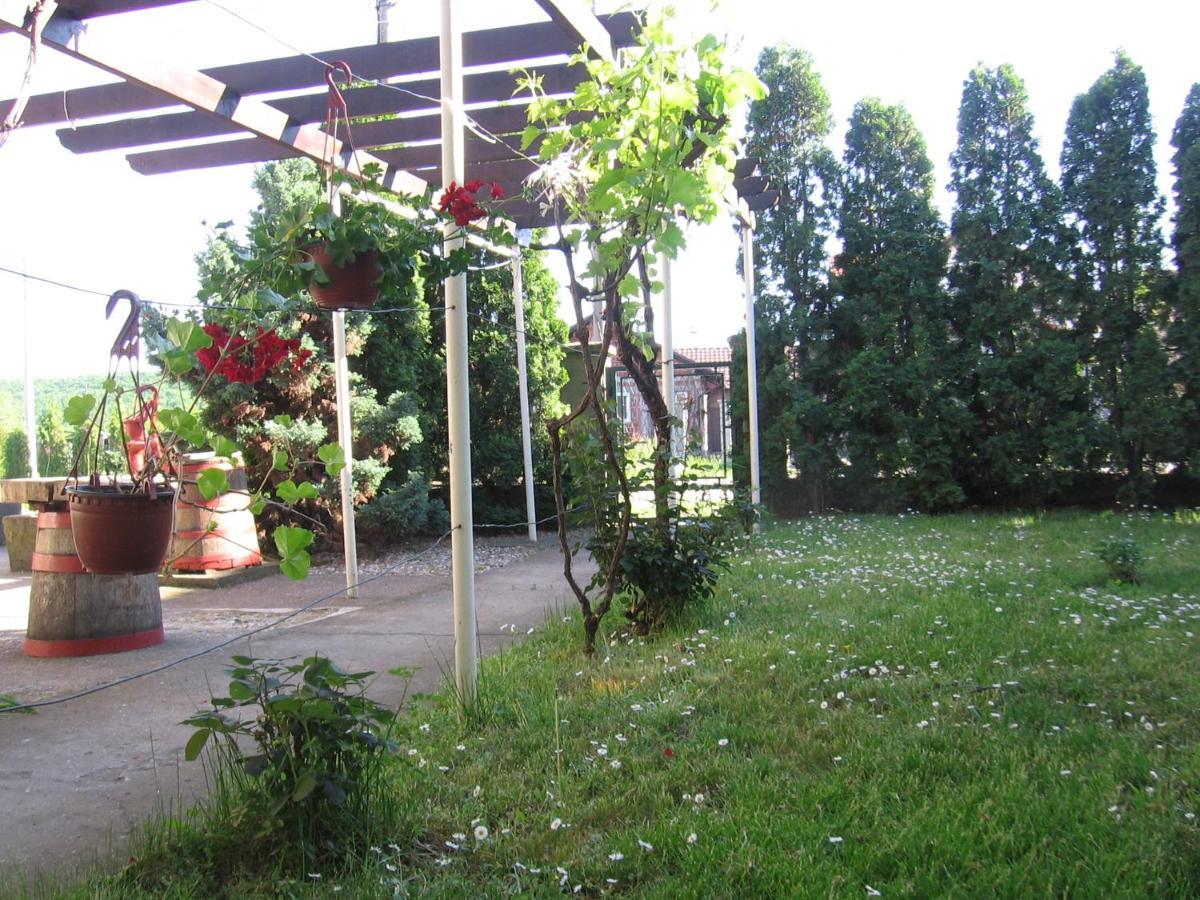 Kuca Za Odmor Jelena Apartment Kladovo Exterior photo